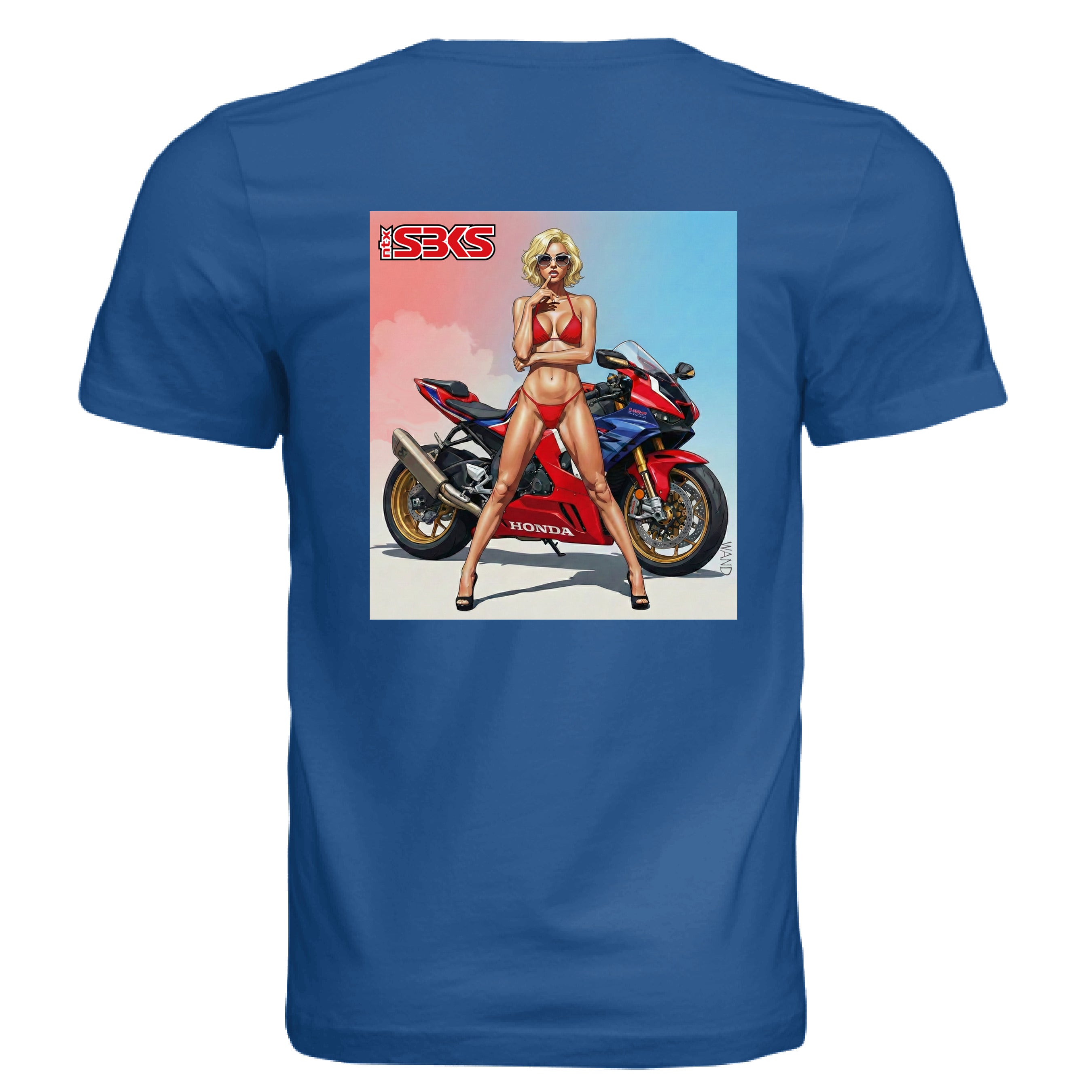 Solid True Royal Triblend - BACK